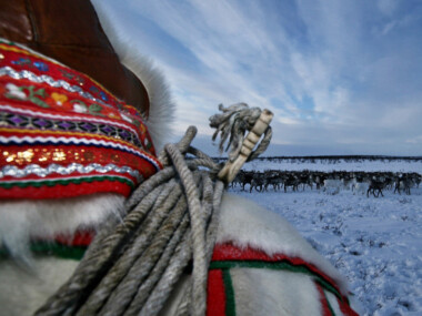 Sami-2