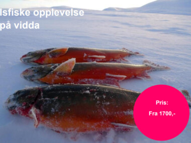 icehole-fishing